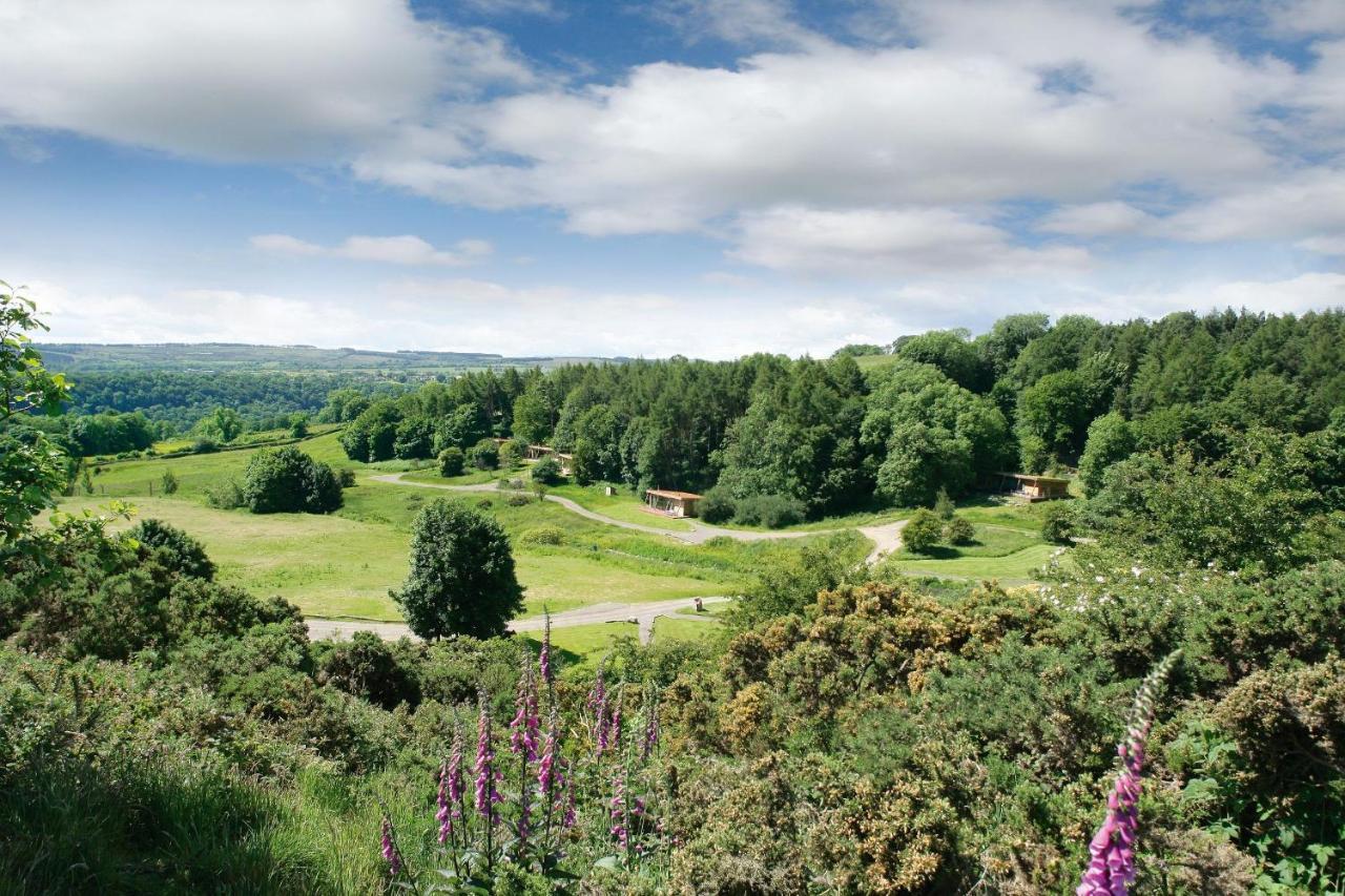 Yorkshire Dales Lodge 3 Family 3 Bed Ричмонд Экстерьер фото